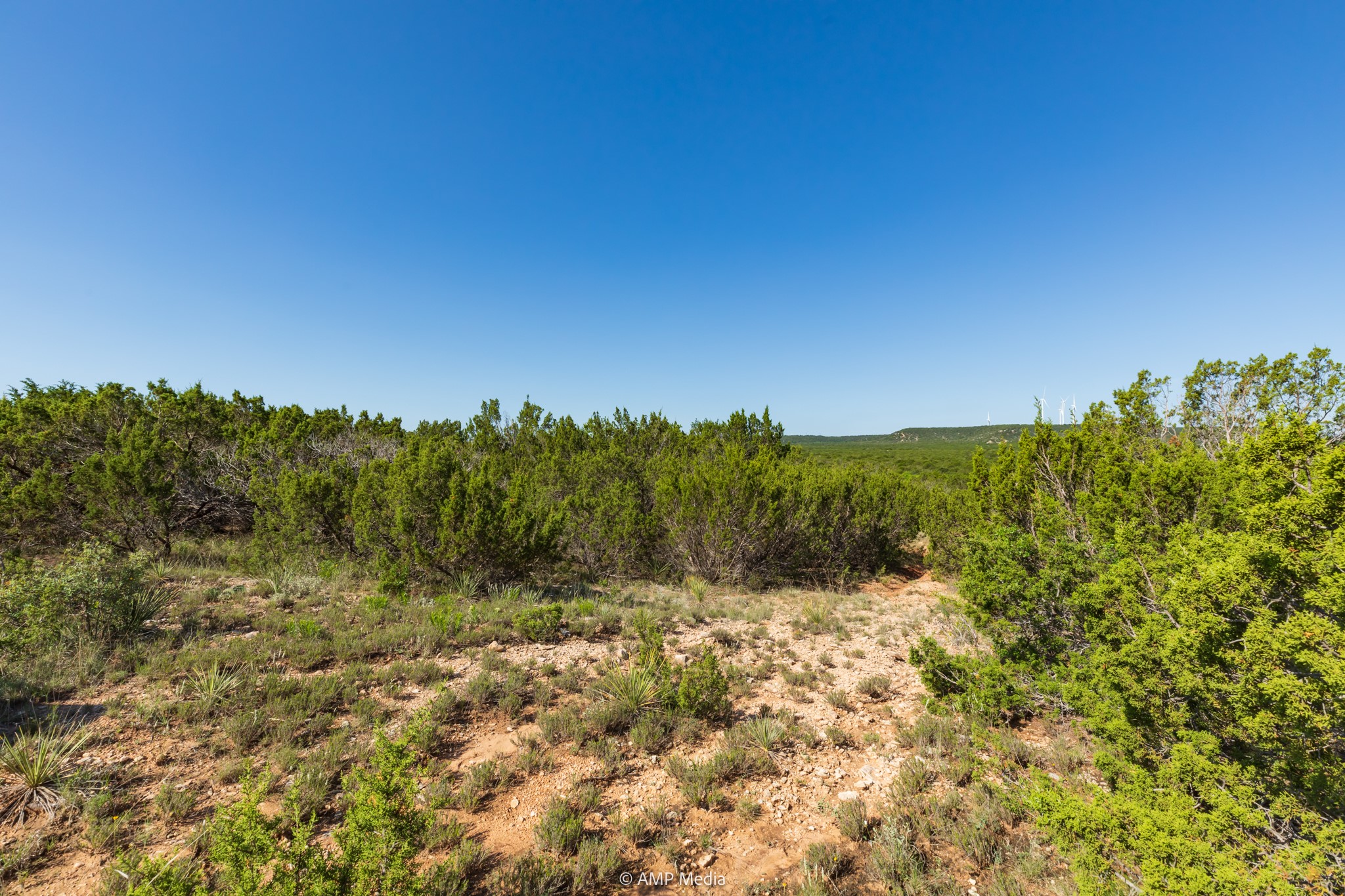 Tbd Fm 2035 Sweetwater TX 79556
