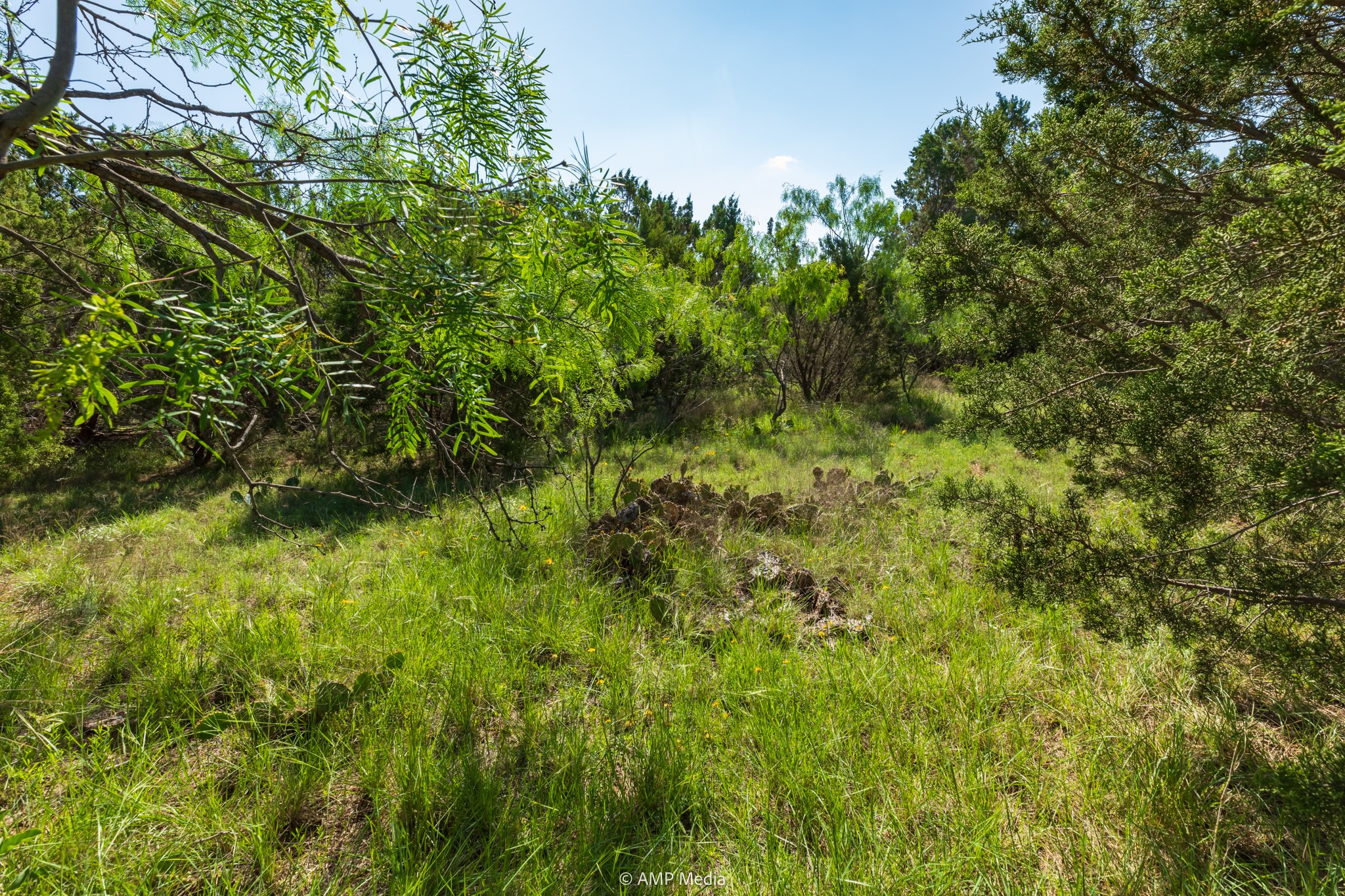 Tbd Fm 2035 Sweetwater TX 79556