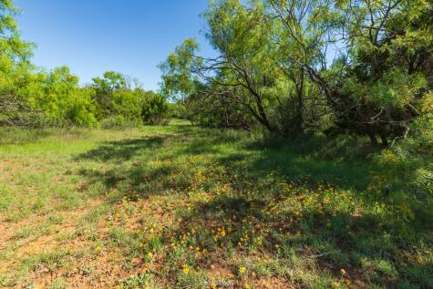 Tbd Fm 2035 Sweetwater TX 79556