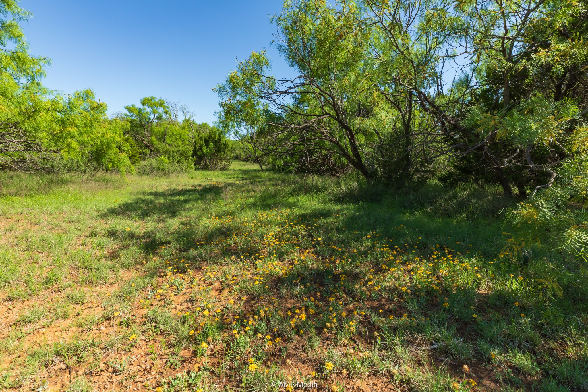 Tbd Fm 2035 Sweetwater TX 79556