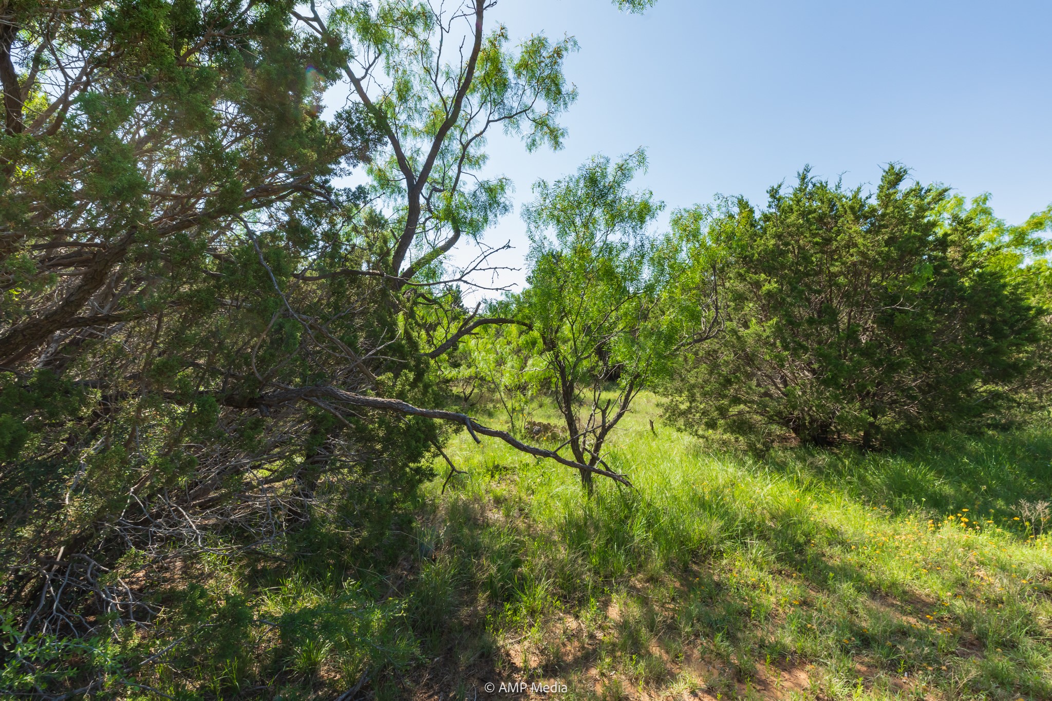 Tbd Fm 2035 Sweetwater TX 79556