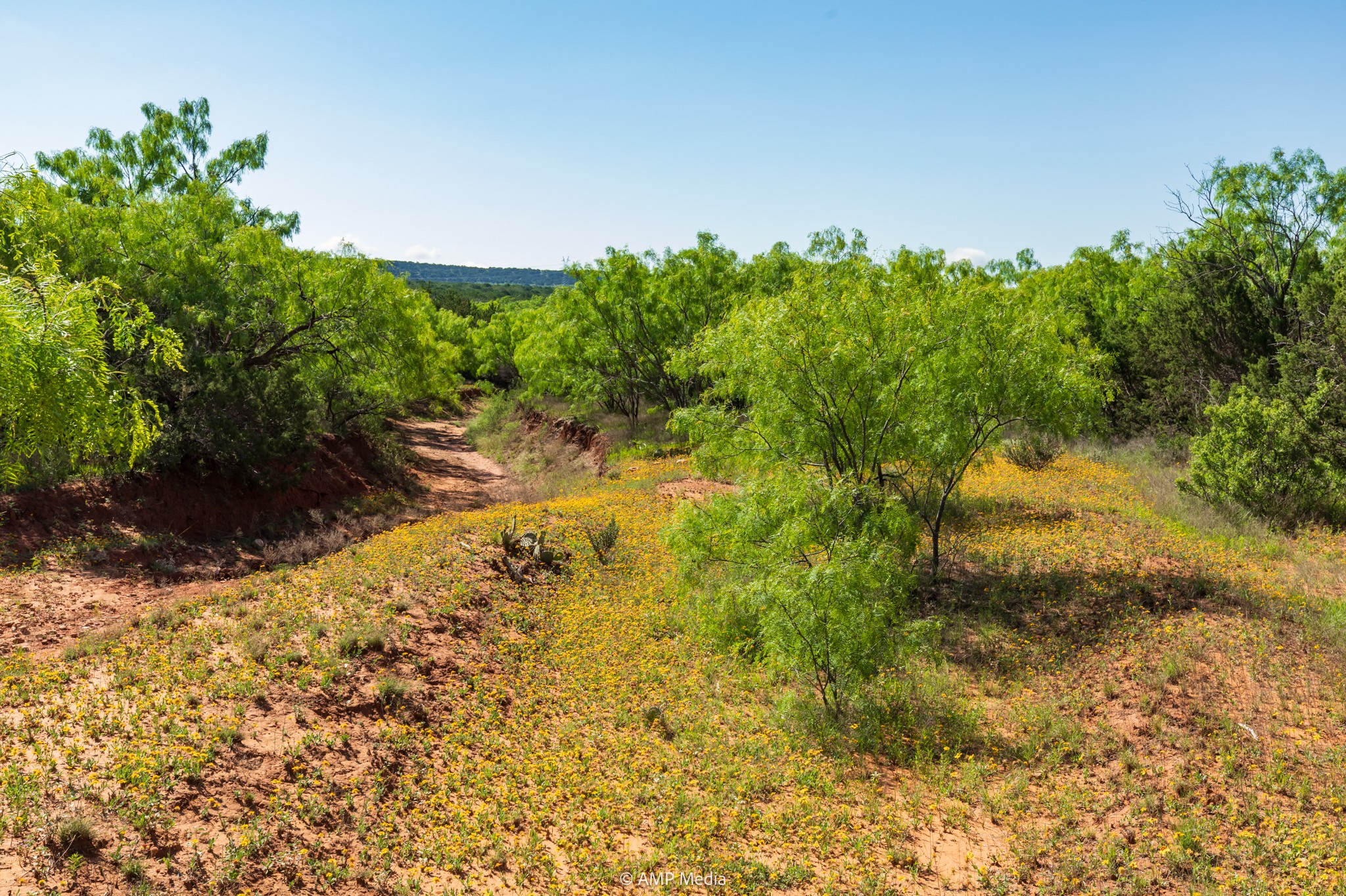 Tbd Fm 2035 Sweetwater TX 79556