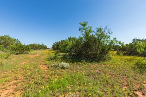 Tbd Fm 2035 Sweetwater TX 79556