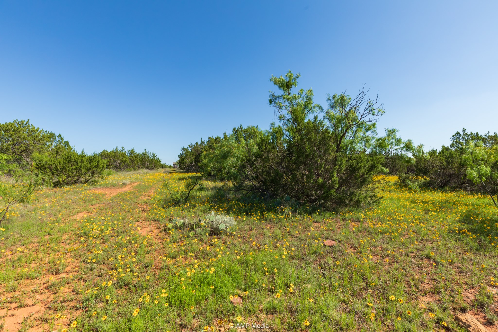 Tbd Fm 2035 Sweetwater TX 79556