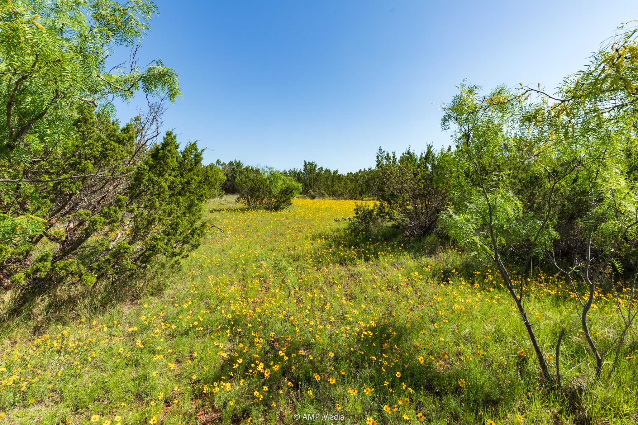 Tbd Fm 2035 Sweetwater TX 79556