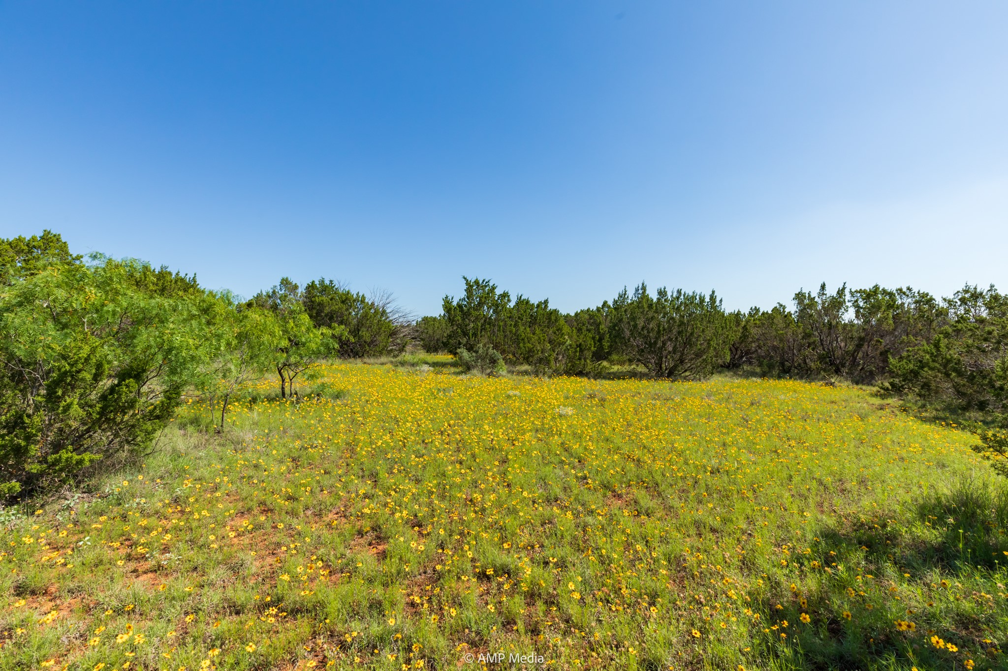 Tbd Fm 2035 Sweetwater TX 79556