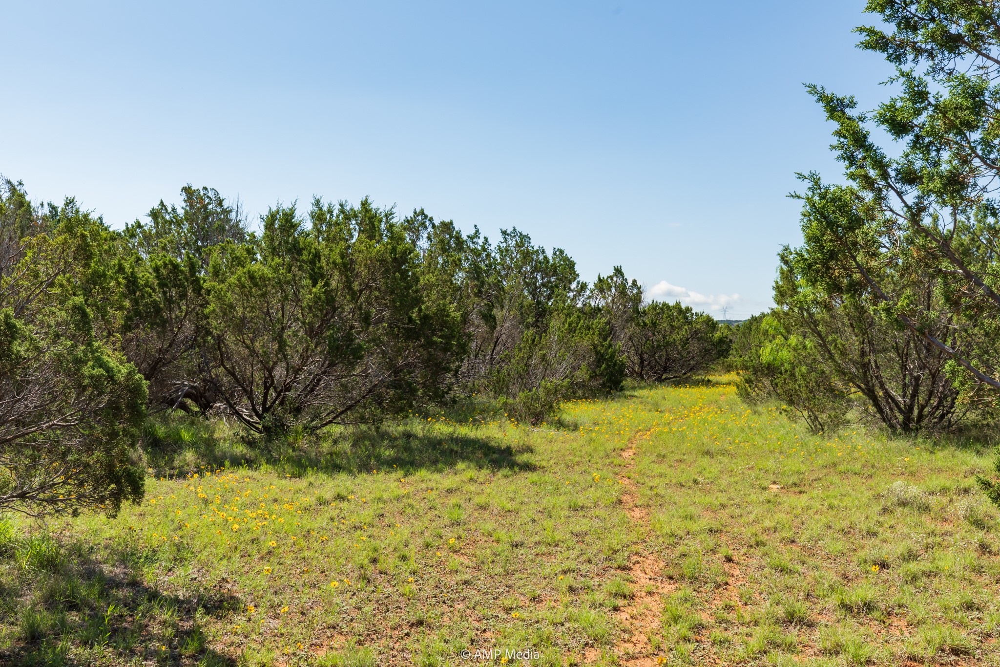 Tbd Fm 2035 Sweetwater TX 79556