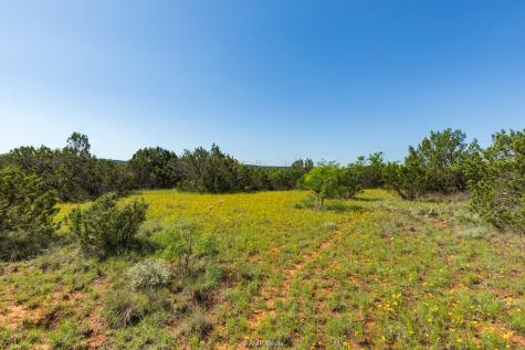 TBD Fm 2035 Sweetwater TX 79556