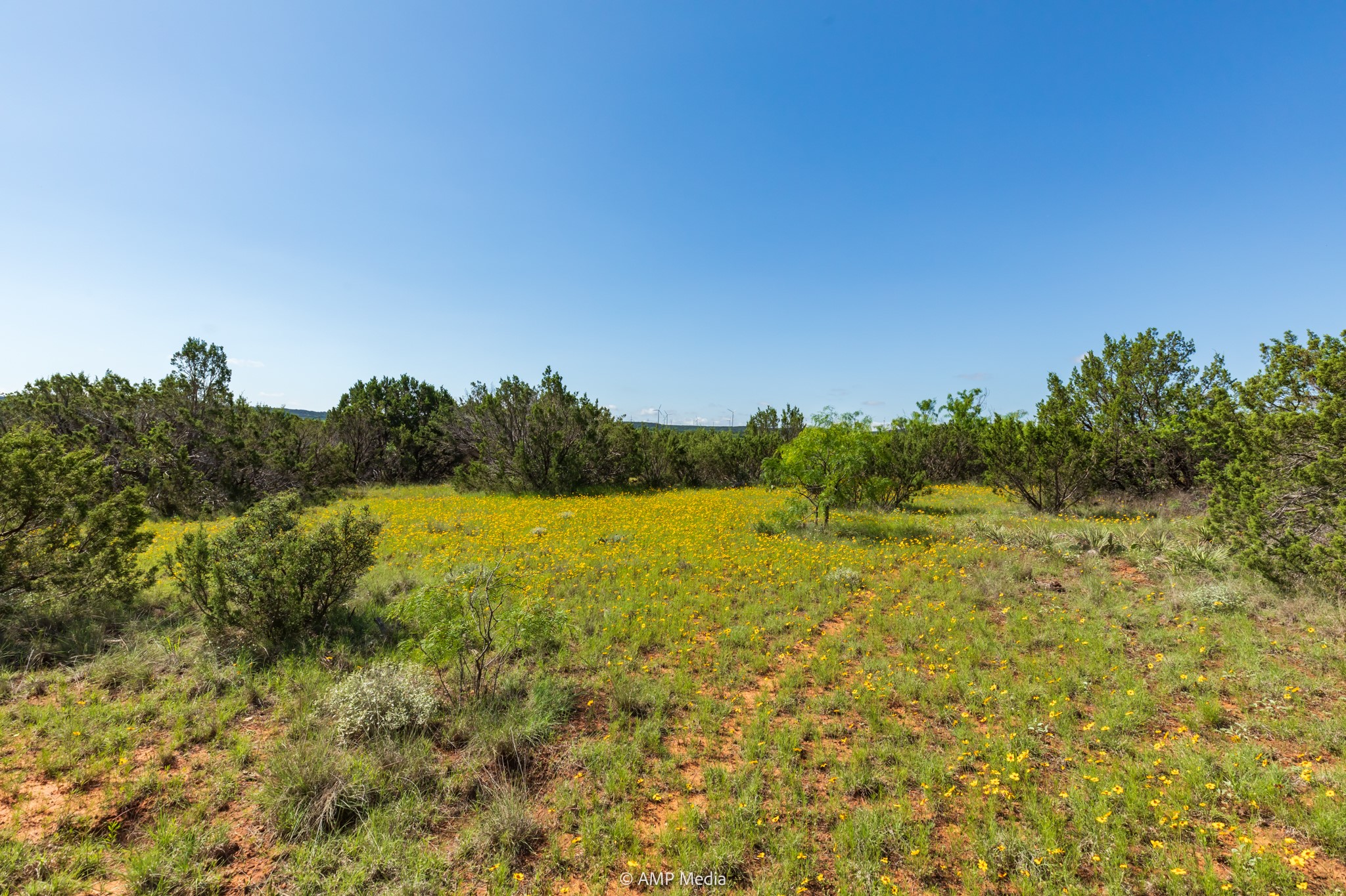 Tbd Fm 2035 Sweetwater TX 79556