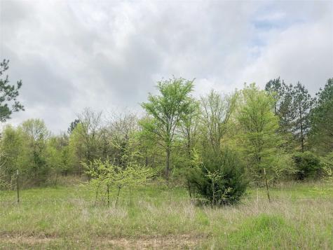 00 County Road 4640 Avery TX 75554