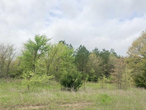 00 County Road 4640 Avery TX 75554