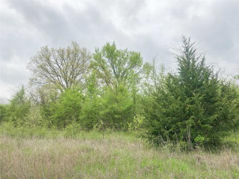 00 County Road 4640 Avery TX 75554