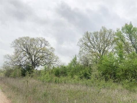 00 County Road 4640 Avery TX 75554