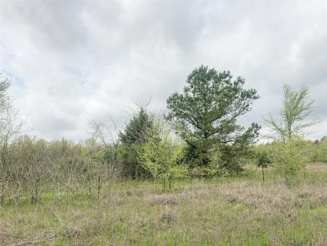 00 County Road 4640 Avery TX 75554