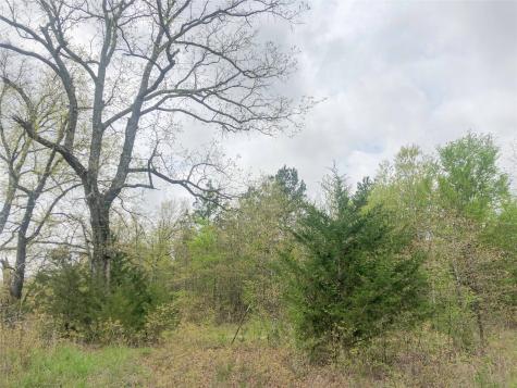 00 County Road 4640 Avery TX 75554
