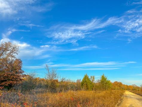 00 County Road 4640 Avery TX 75554