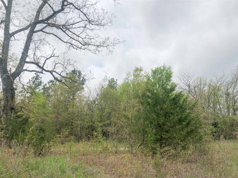 00 County Road 4640 Avery TX 75554