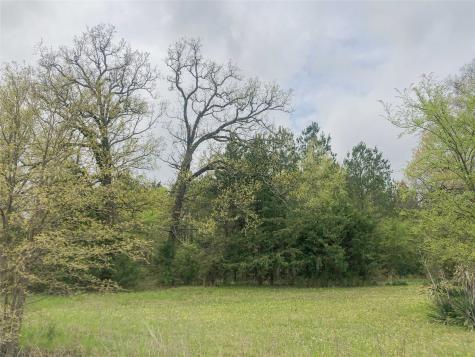 00 County Road 4640 Avery TX 75554
