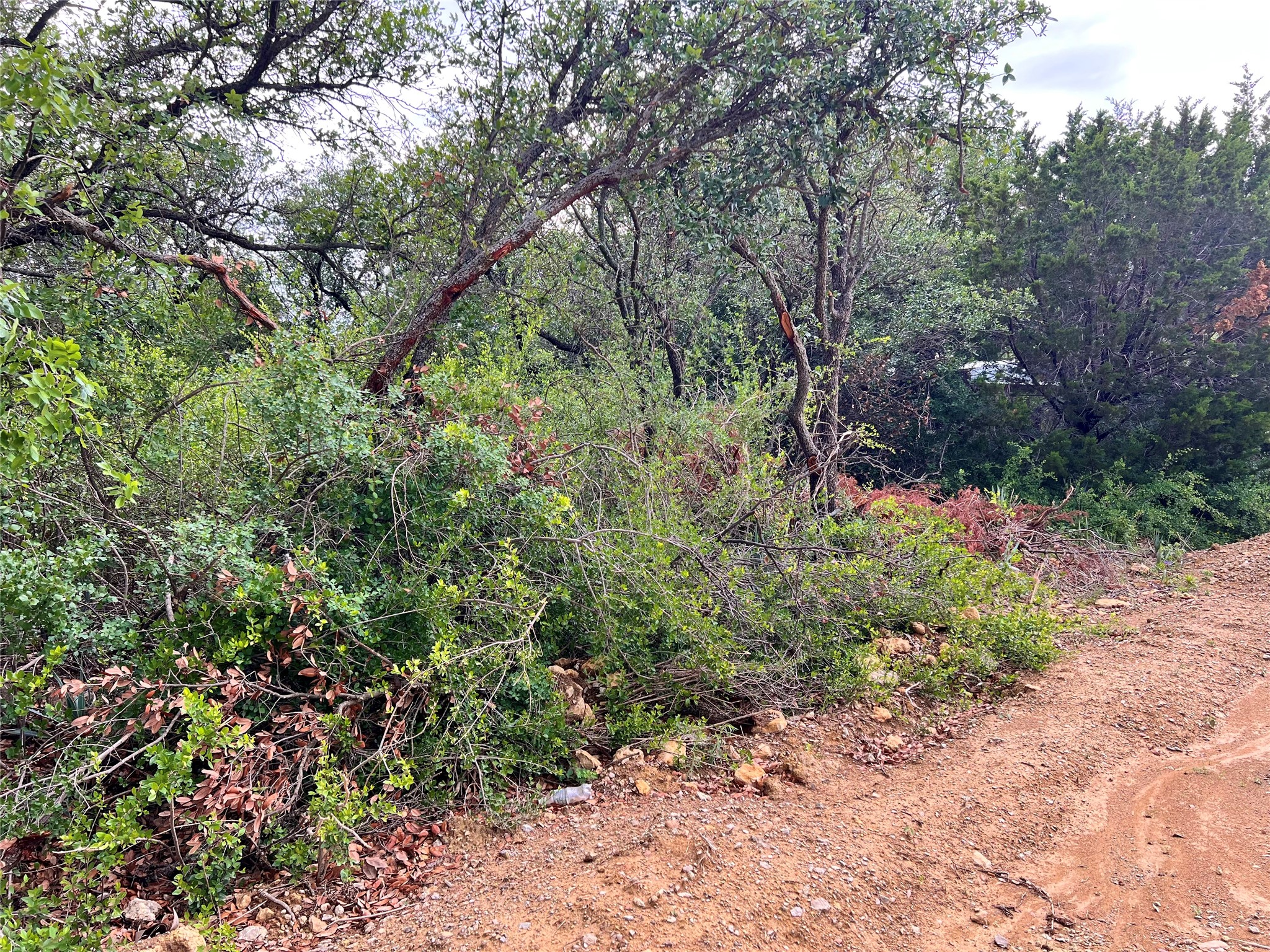 Lot 160 Luker Circle Brownwood TX 76801