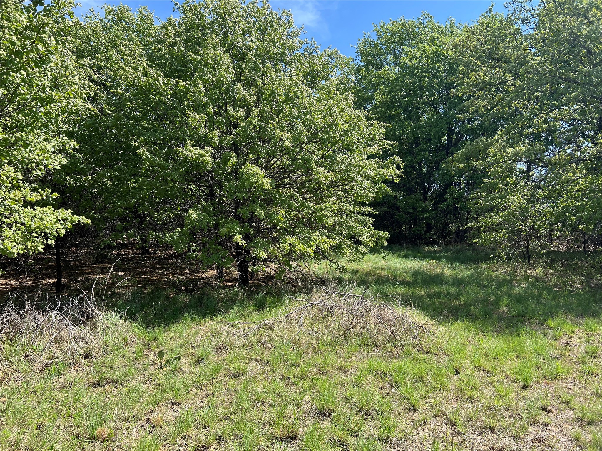 127 Rivercrest Drive Nocona TX 76255