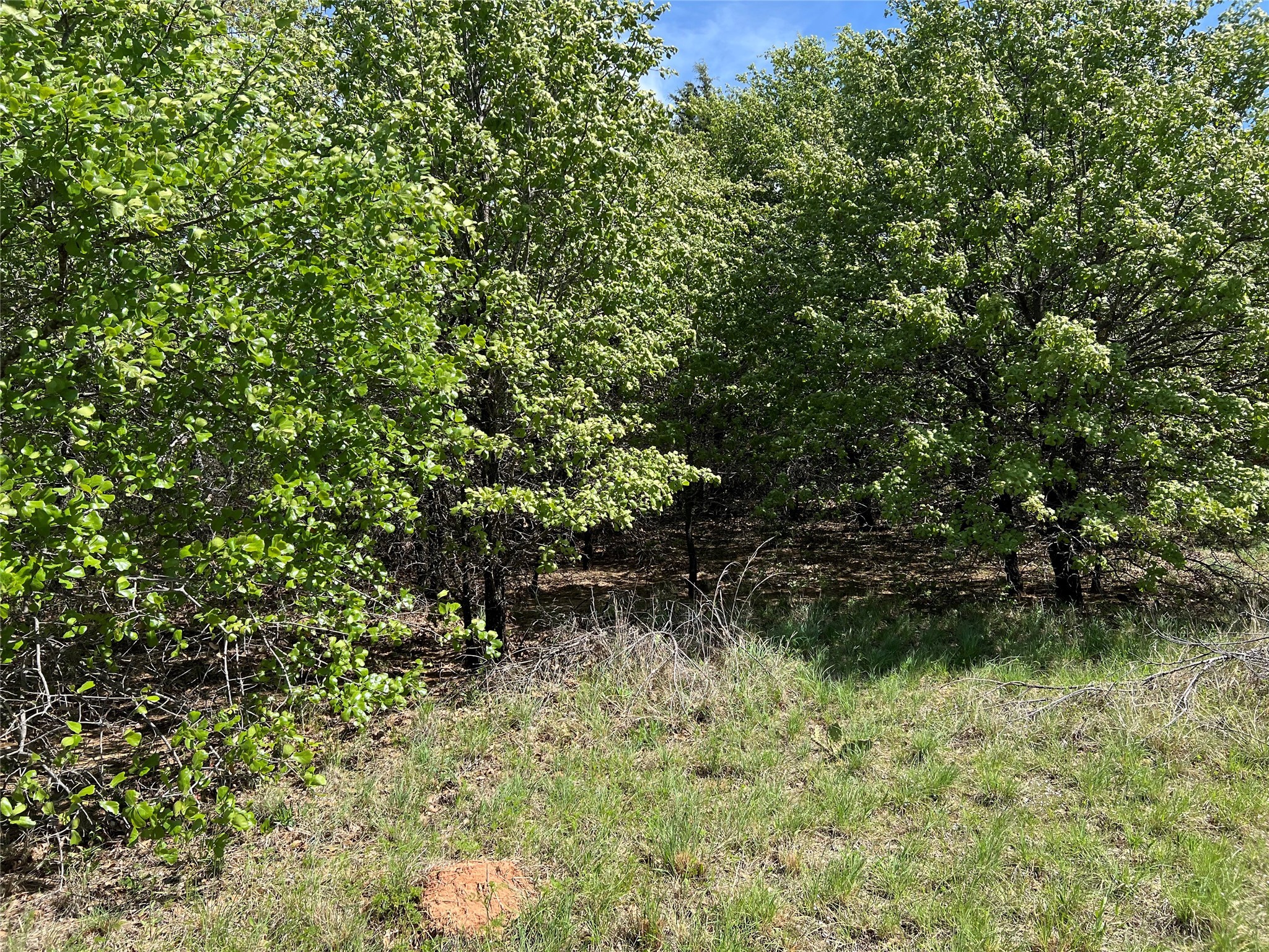 127 Rivercrest Drive Nocona TX 76255