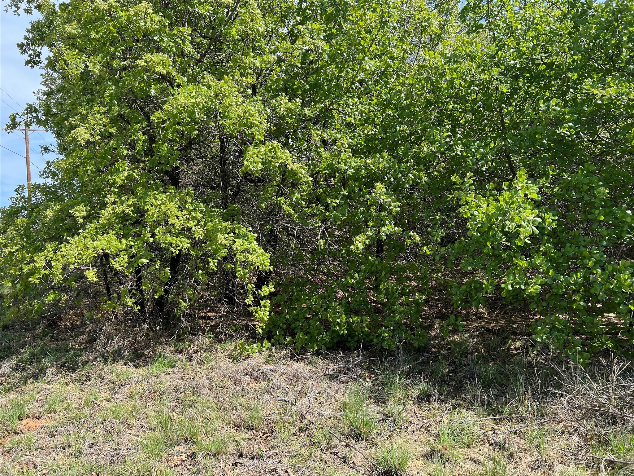 127 Rivercrest Drive Nocona TX 76255