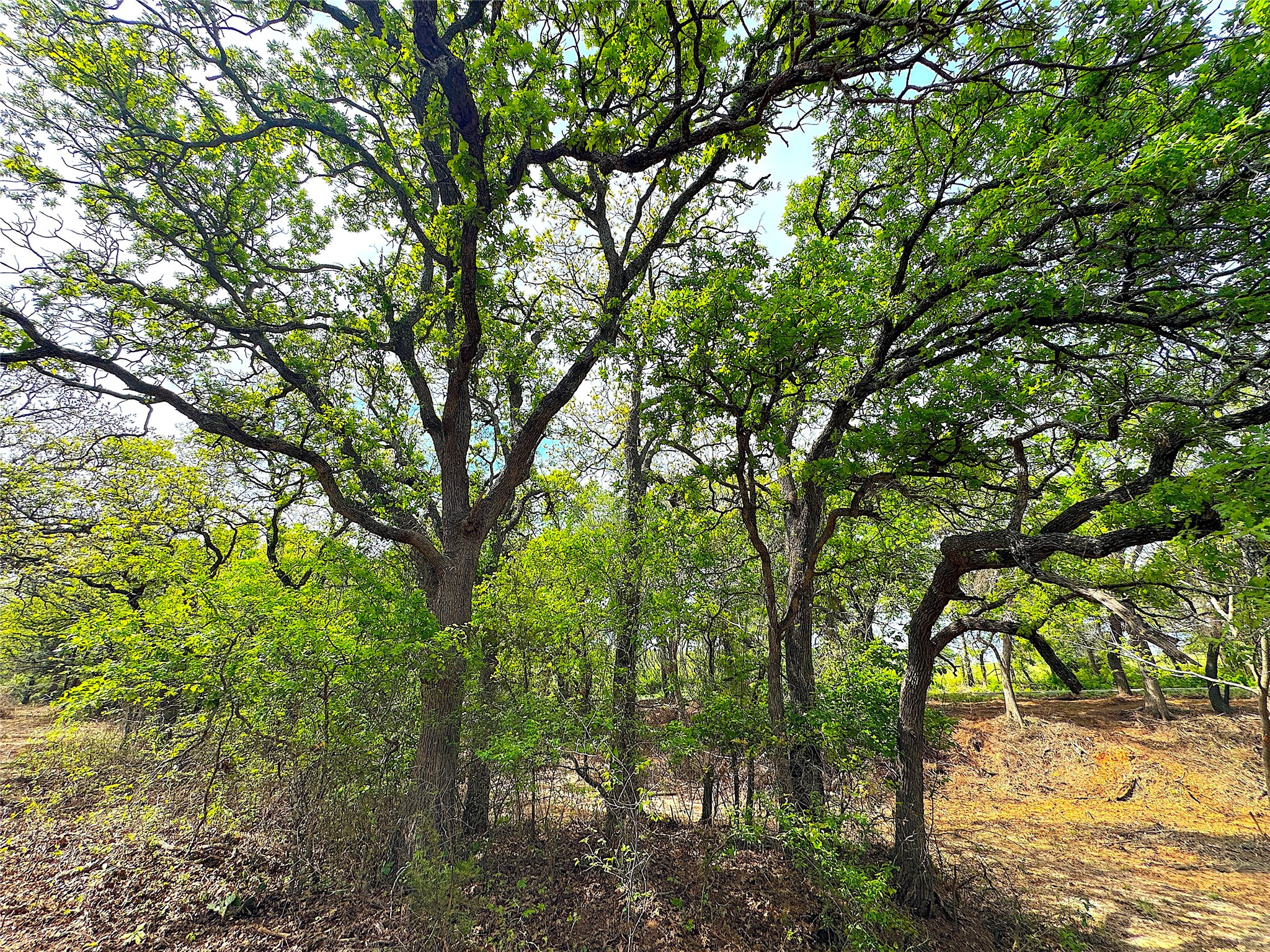 17101B Fm-920 Poolville TX 76487