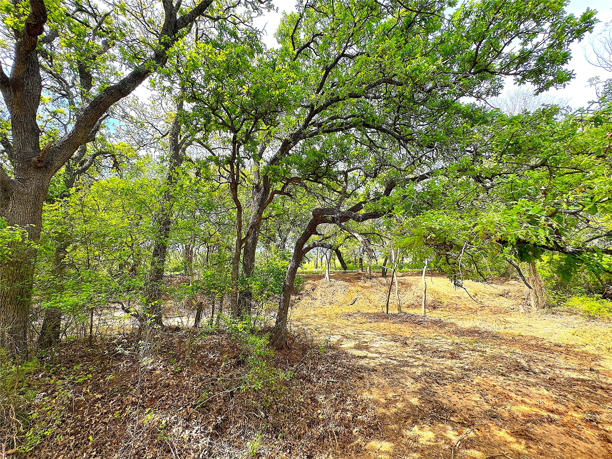 17101B Fm-920 Poolville TX 76487