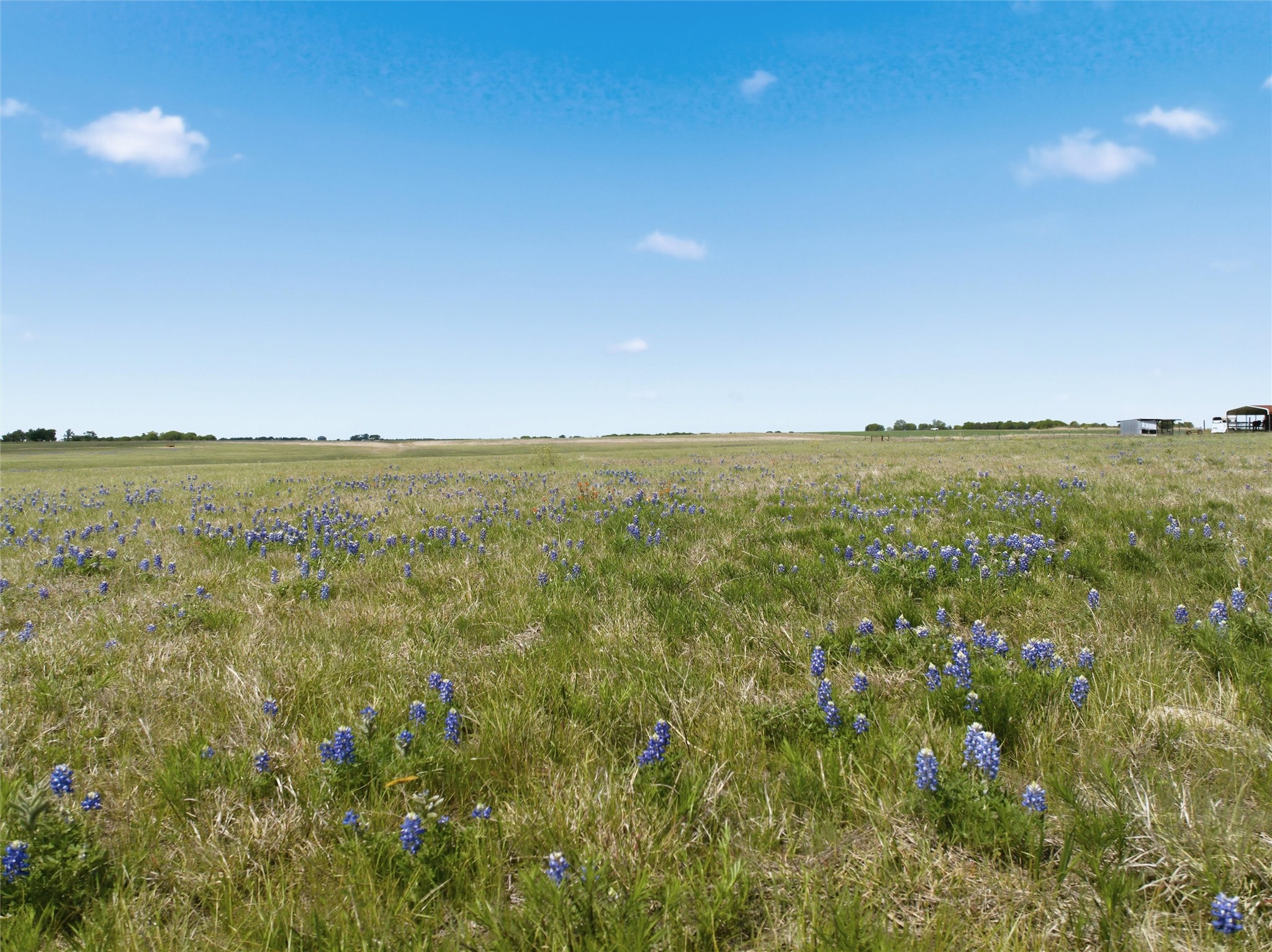 Tbd Wa Neel Road West TX 76691