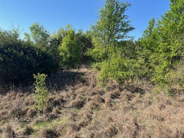 207 Morning Dove Court Cresson TX 76035
