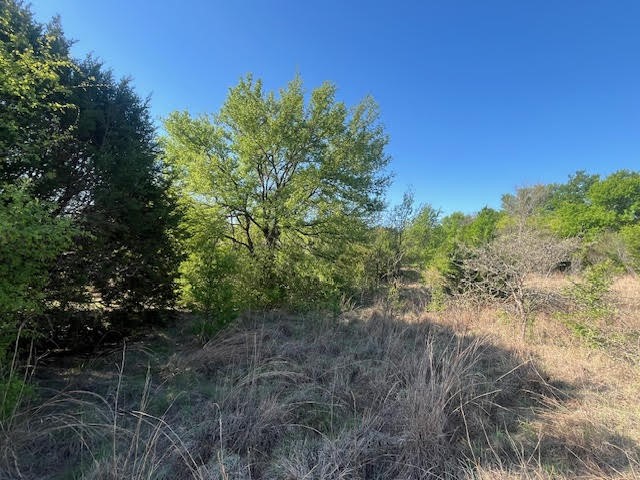 207 Morning Dove Court Cresson TX 76035