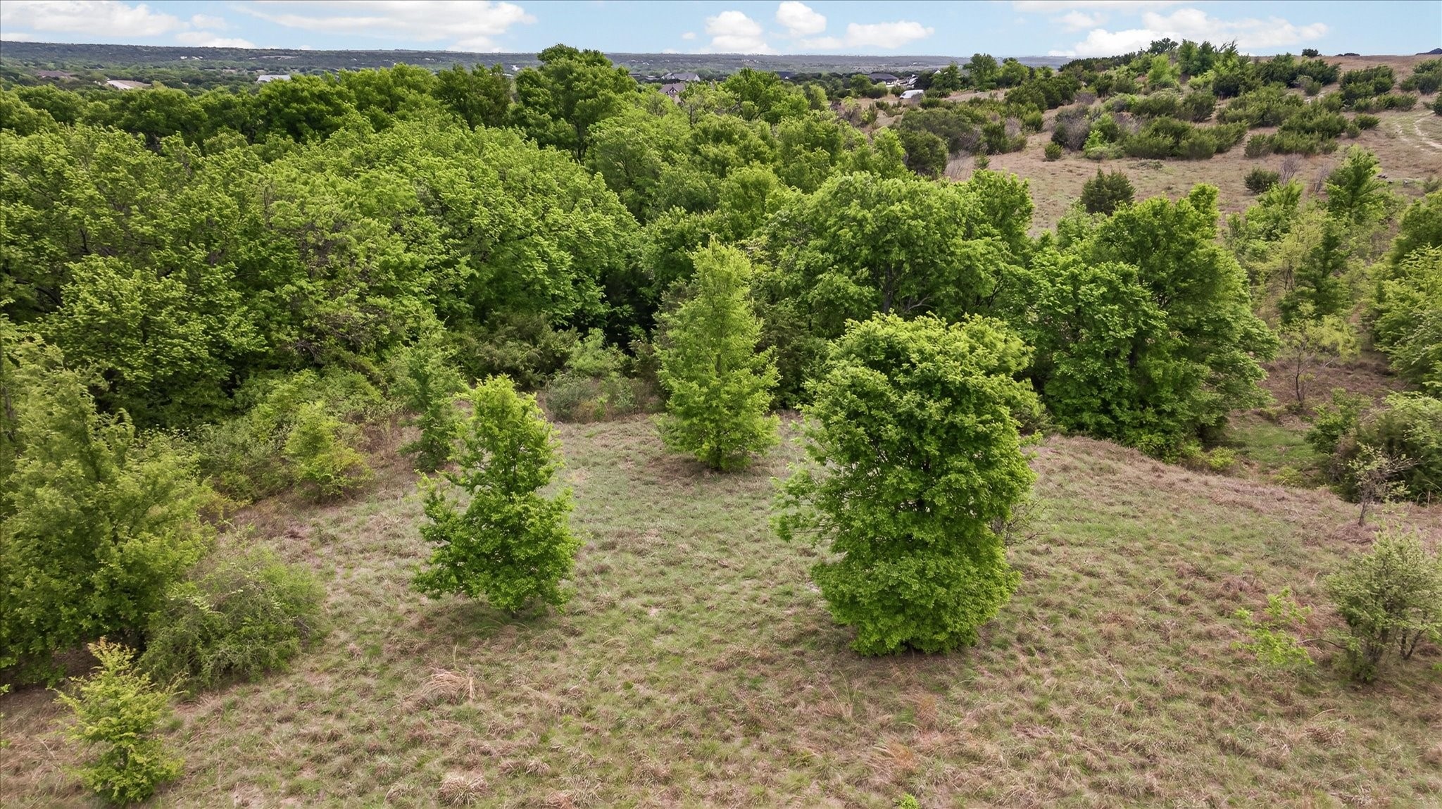207 Morning Dove Court Cresson TX 76035