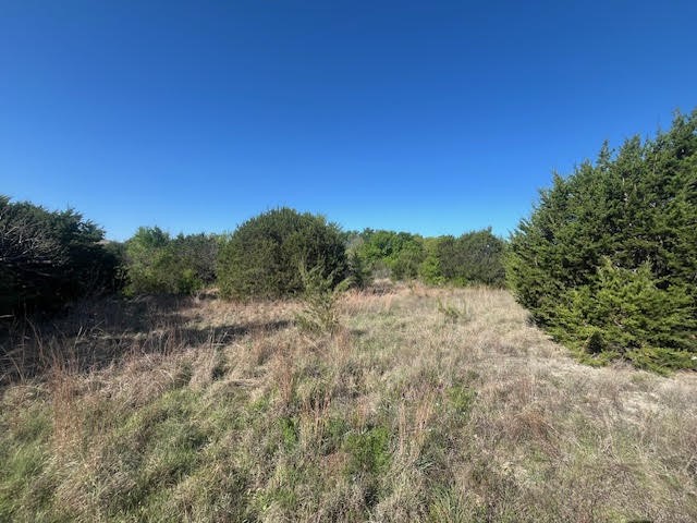 207 Morning Dove Court Cresson TX 76035