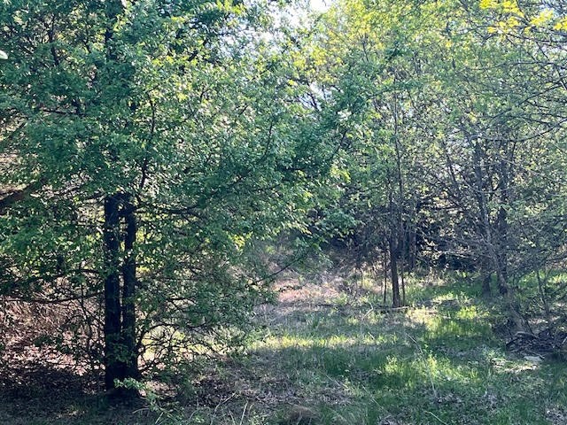 207 Morning Dove Court Cresson TX 76035
