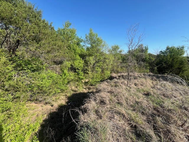 207 Morning Dove Court Cresson TX 76035