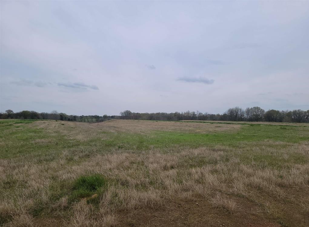 Tbd Cr 2214 Pittsburg TX 75686