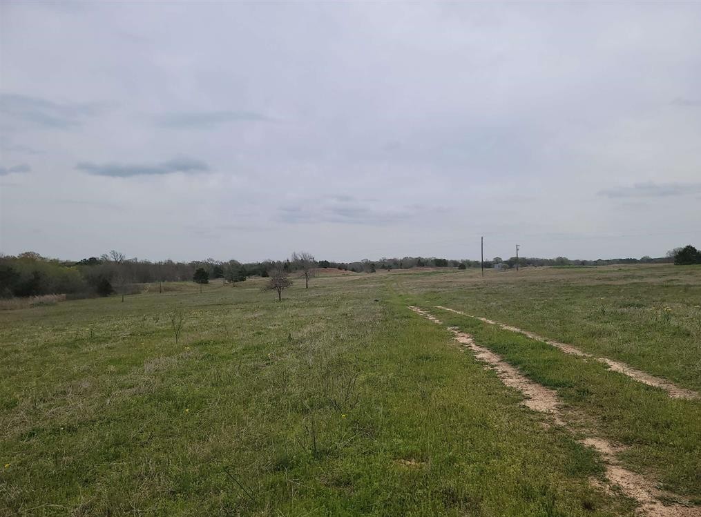 Tbd Cr 2214 Pittsburg TX 75686