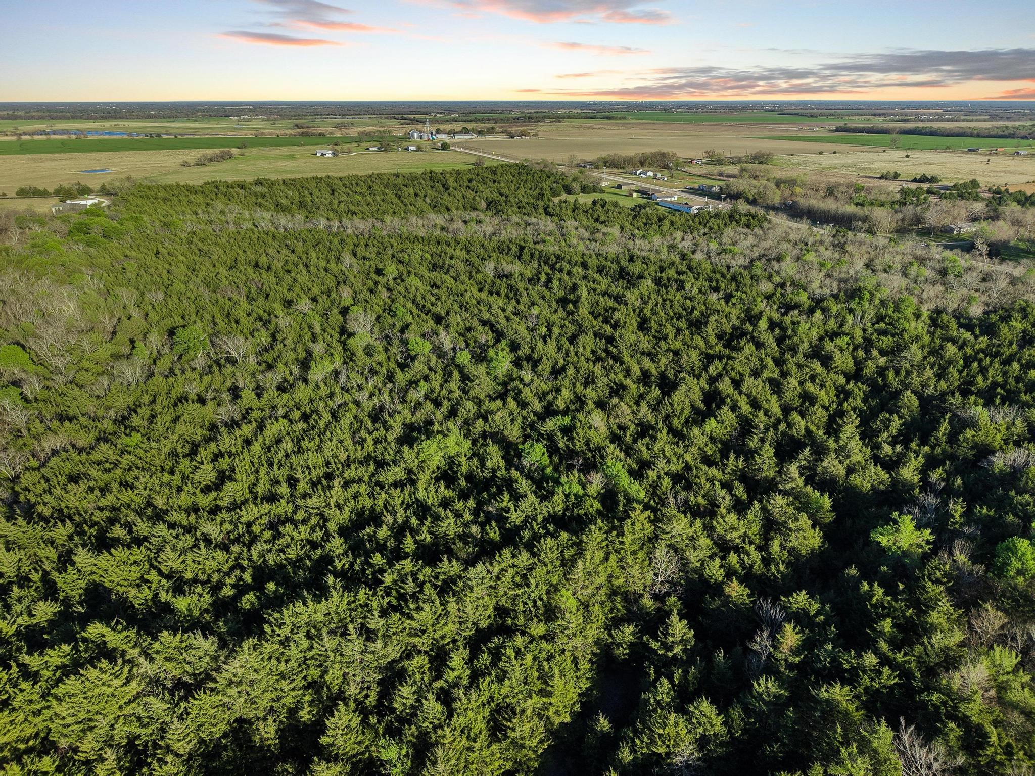 0000 County Road 4617 Wolfe City TX 75496