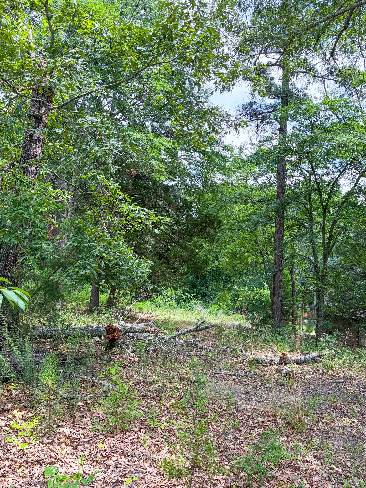 2807 J Cupit Court Tyler TX 75709