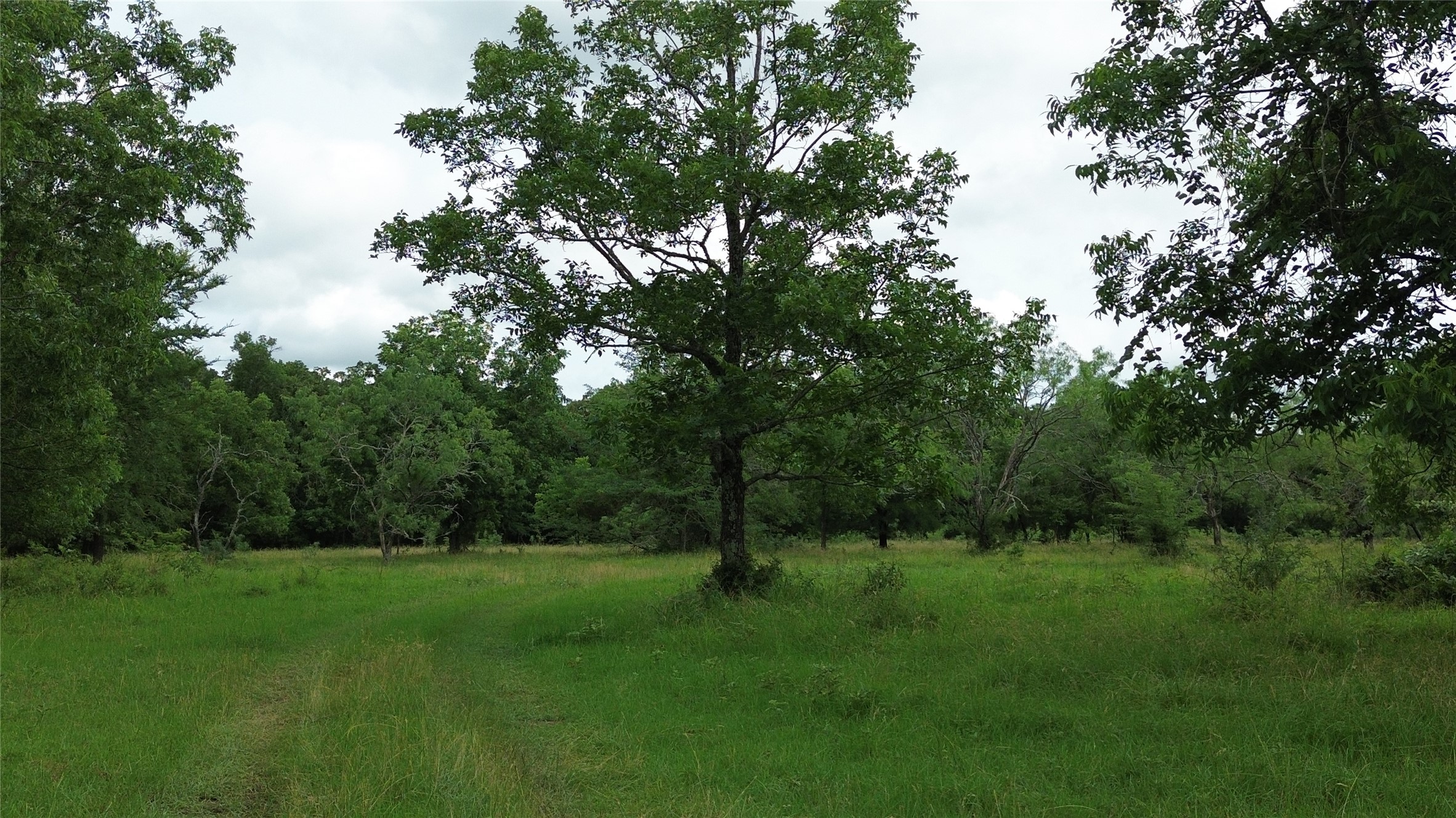 12387 County Road 3120 Kerens TX 75144