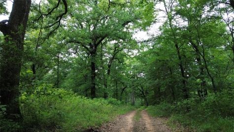 12387 County Road 3120 Kerens TX 75144