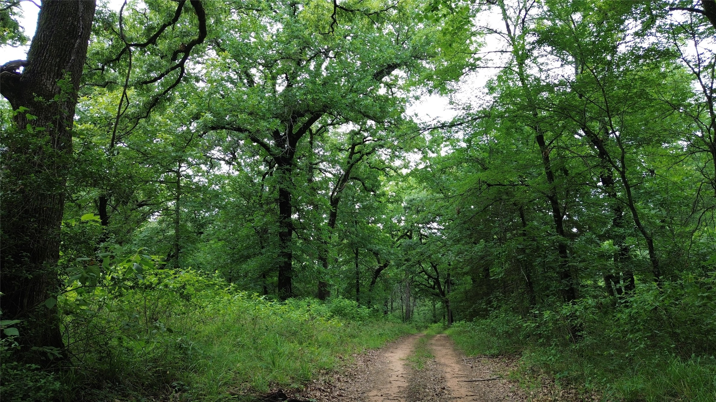 12387 County Road 3120 Kerens TX 75144
