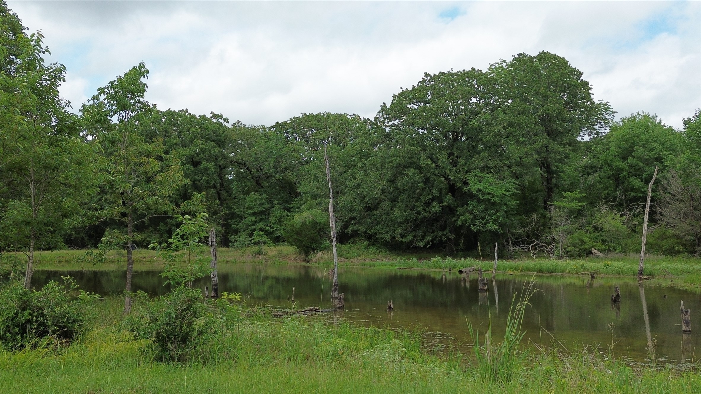 12387 County Road 3120 Kerens TX 75144