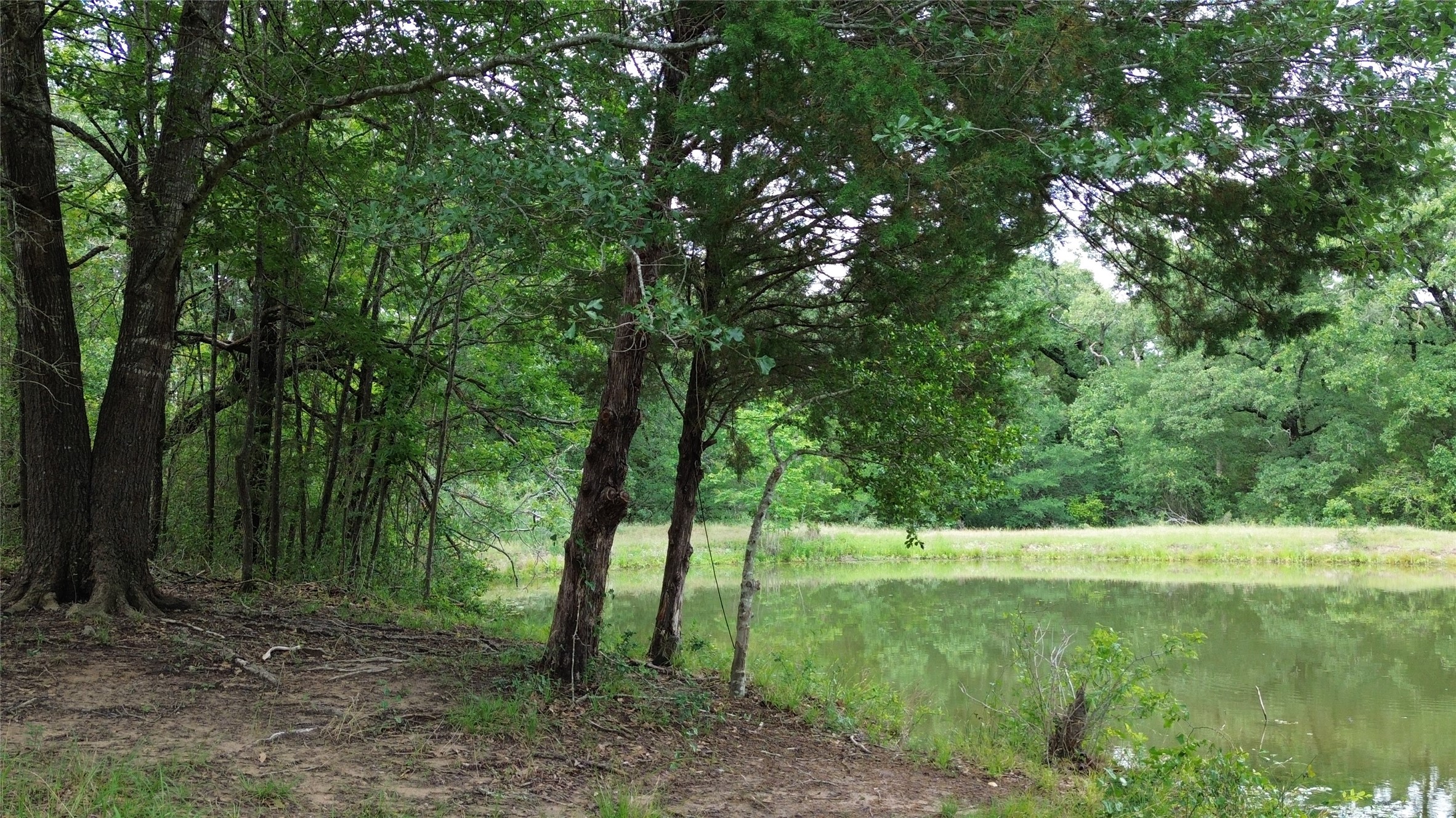 12387 County Road 3120 Kerens TX 75144