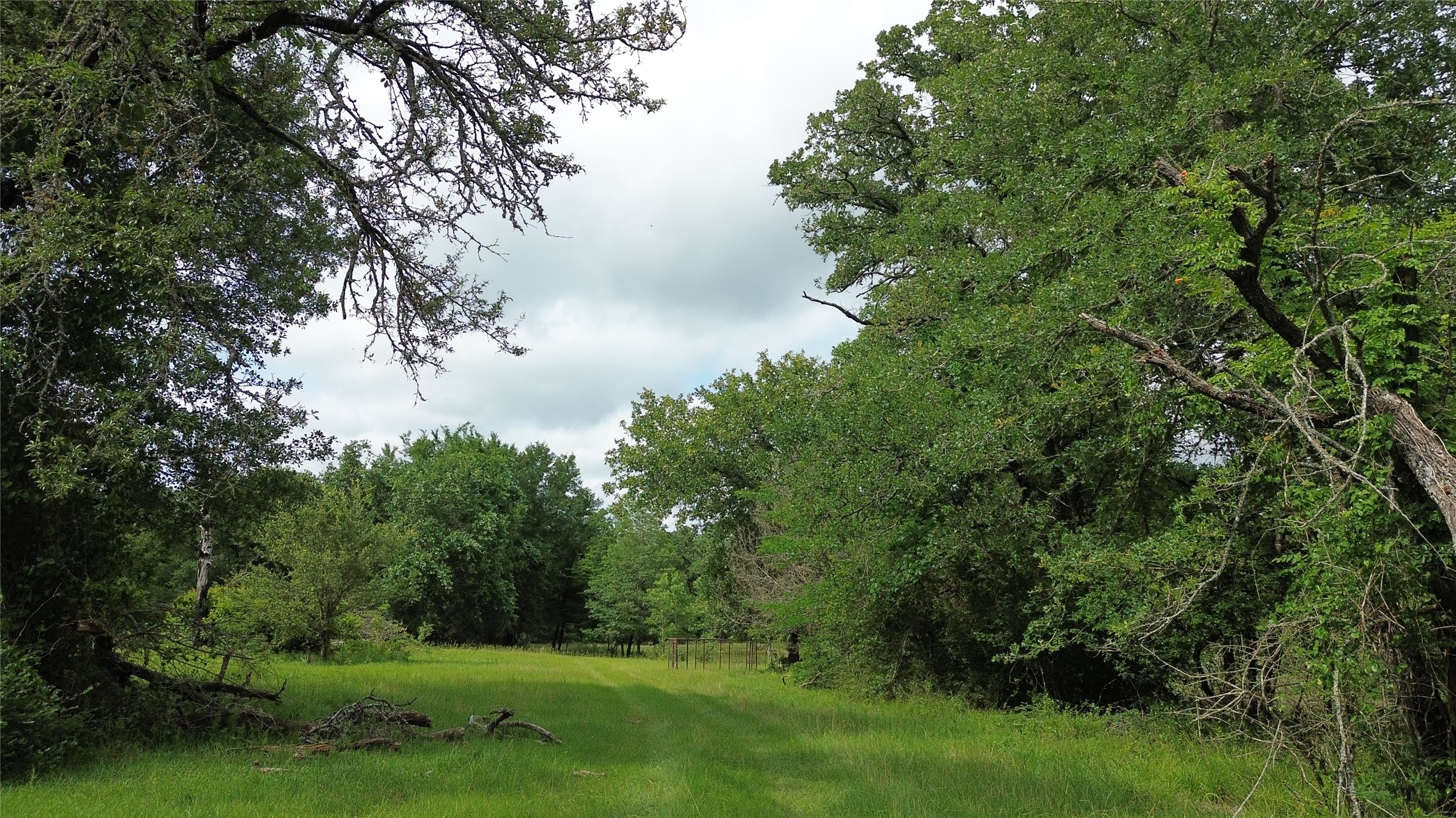 12387 County Road 3120 Kerens TX 75144