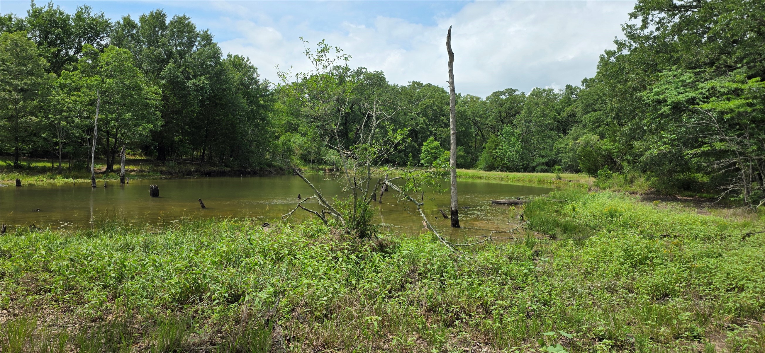 12387 County Road 3120 Kerens TX 75144