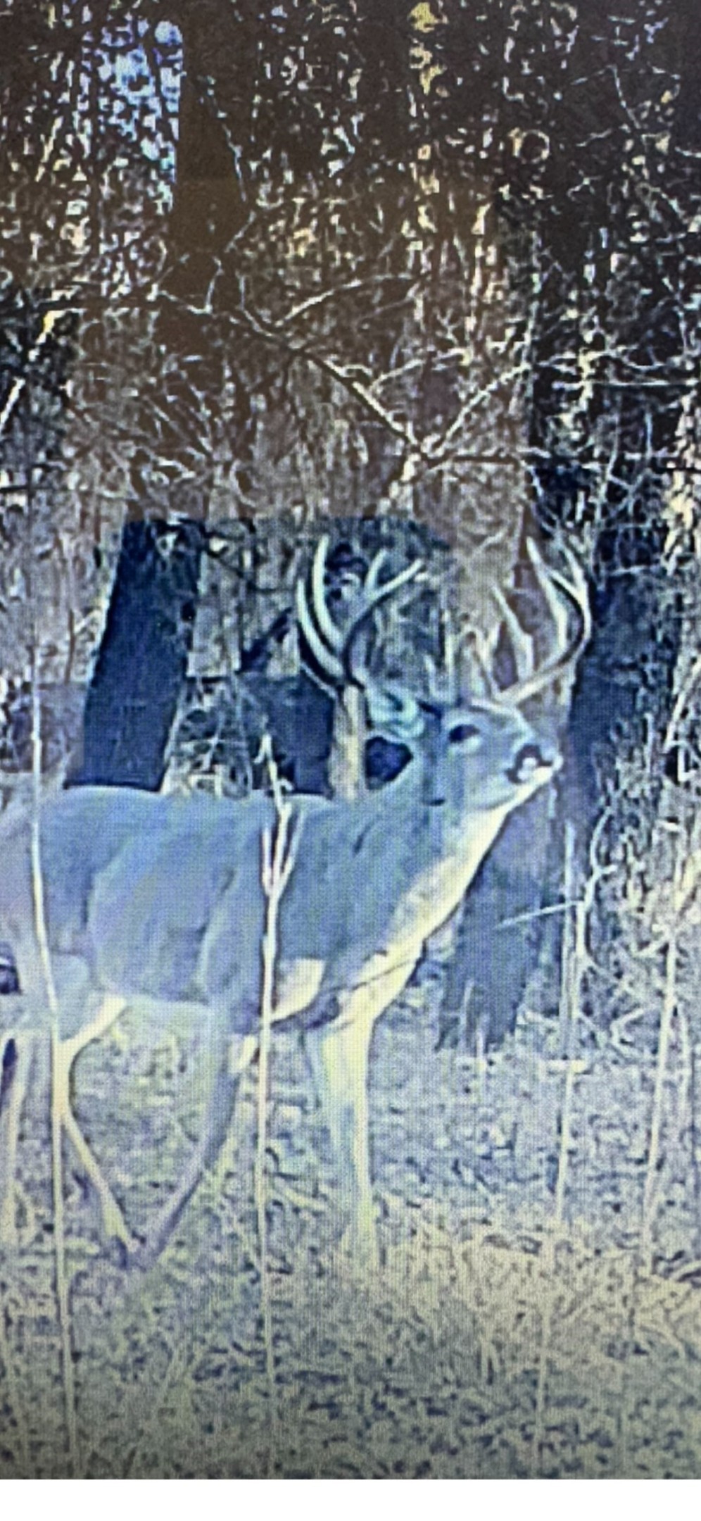 12387 County Road 3120 Kerens TX 75144