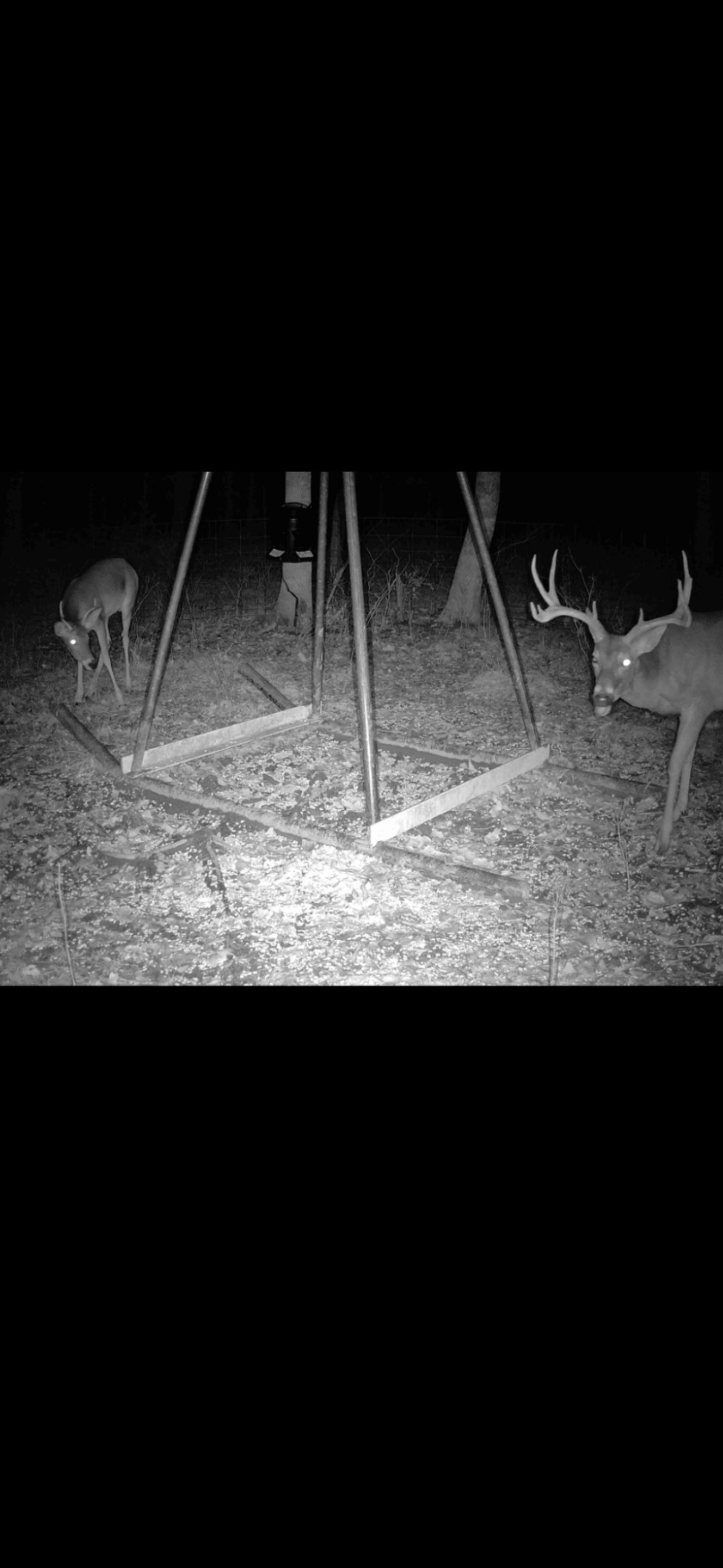 12387 County Road 3120 Kerens TX 75144