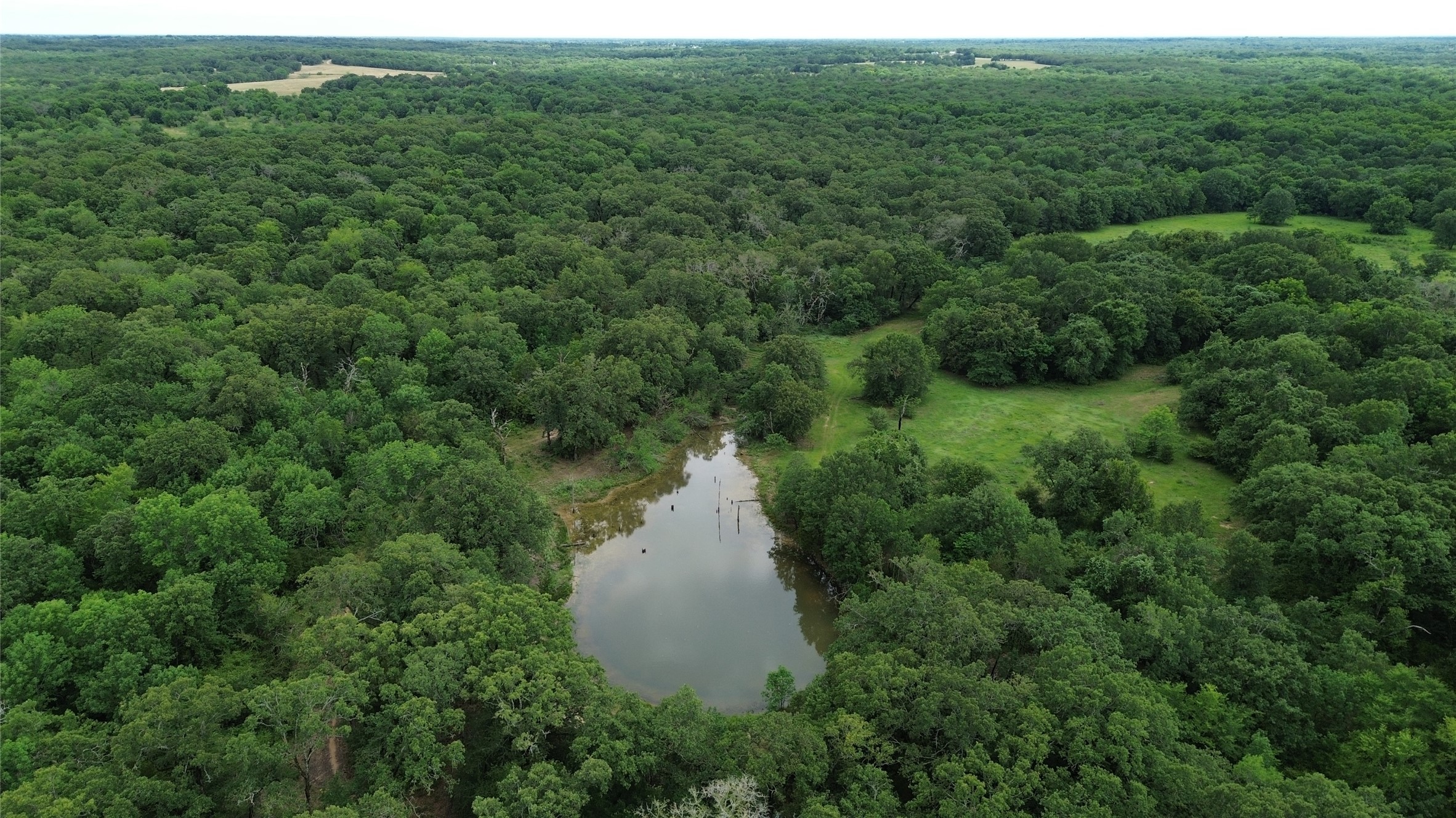 12387 County Road 3120 Kerens TX 75144