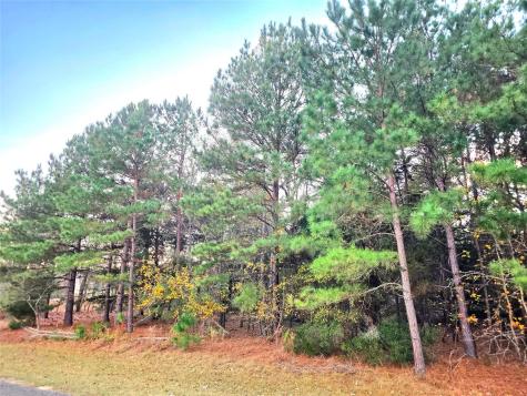 Lot 401 Mallard Way Larue TX 75770